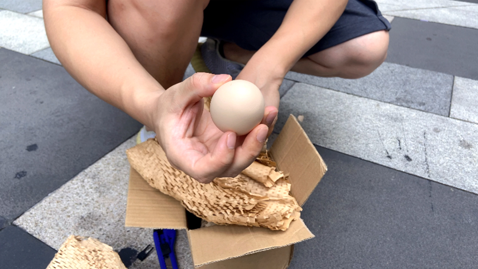 Prueba de huevo de papel de panal de panal