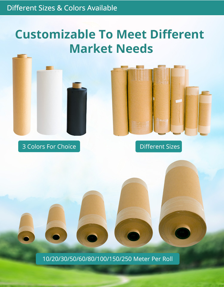 Búfer de llenado de precios competitivos Búfer de protección Rollo de empaquetado Kraft Kraft Honeycomb Paper Wrap 3