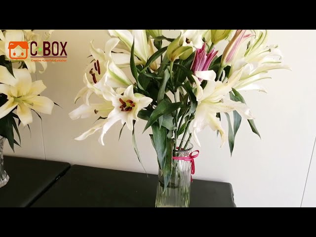 مشاركة مشروع Cbox - - صالة نصل