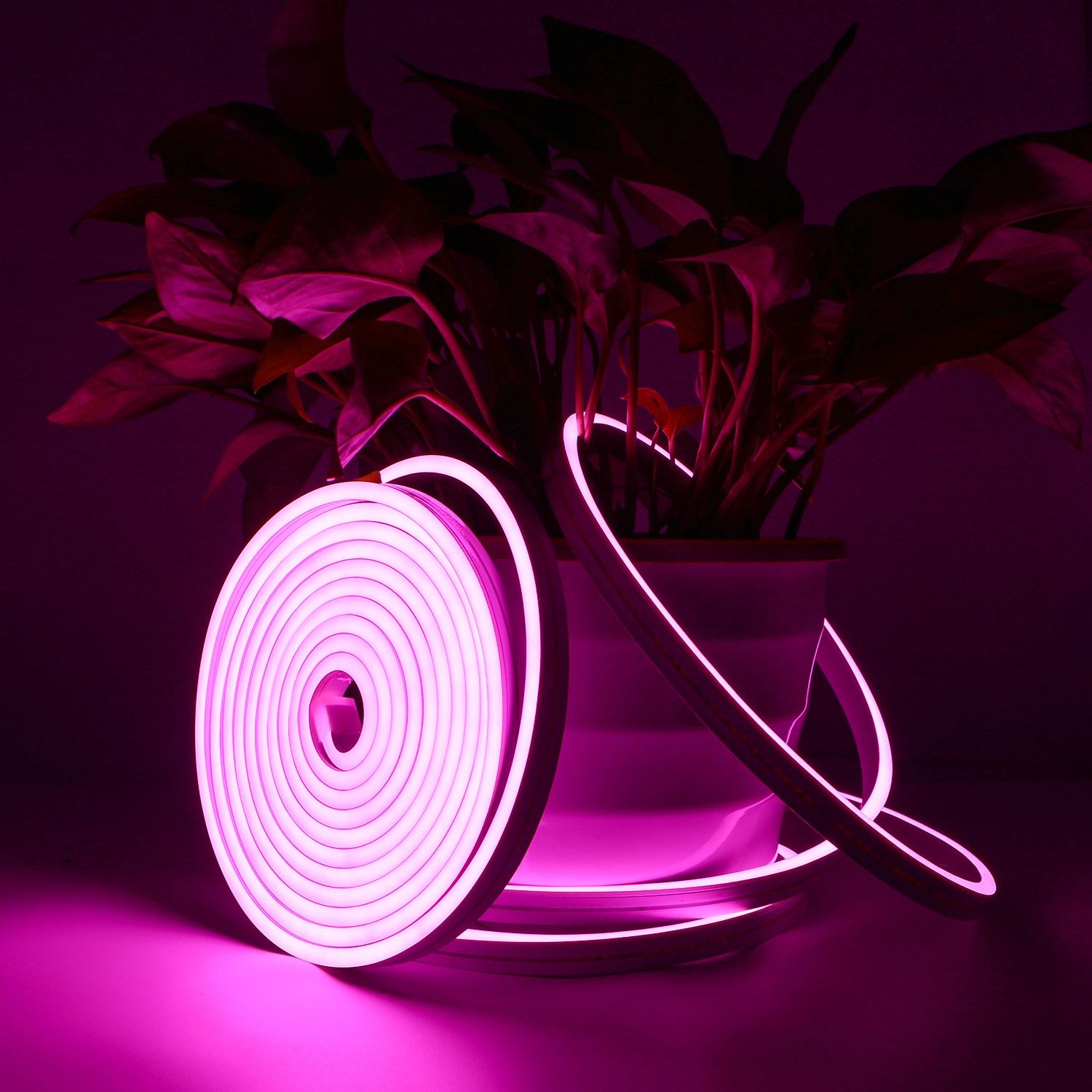 SMILE LIGHTING 6*12mm LED Neon Strip Light - Pink 1