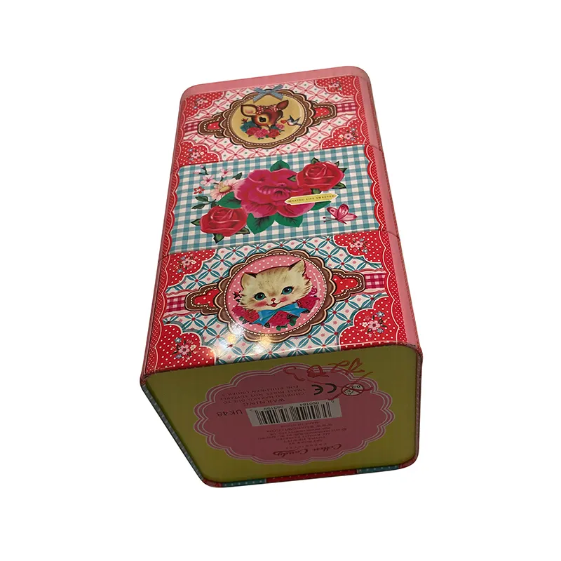 Fuhan Metal Rectangular Biscuit Tin L110*W110*H195mmsuppliers 6