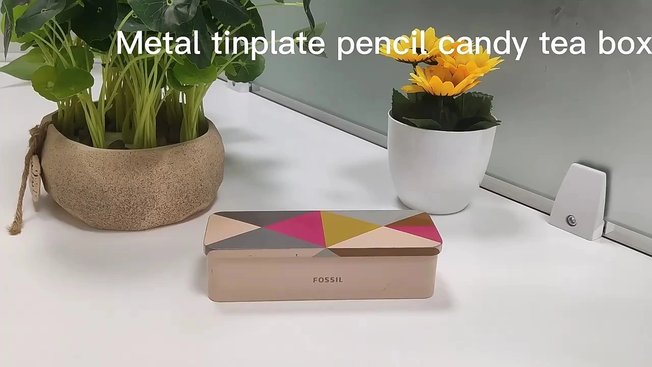 Metal Watch Tin Box: Schutzspeicherbehälter für Zeitmesser 1