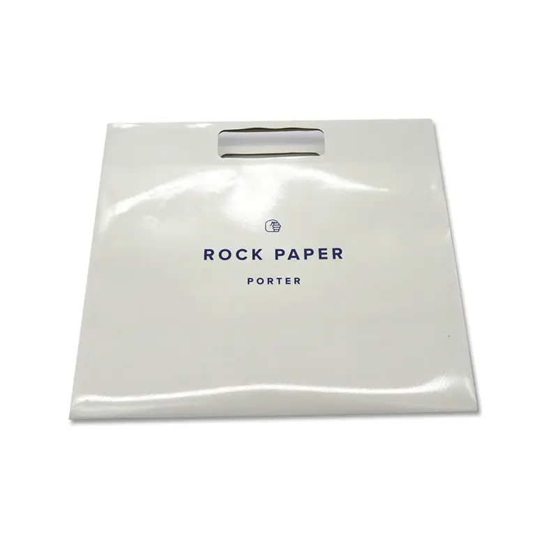 branded paper bags for gift shopping Welm 6