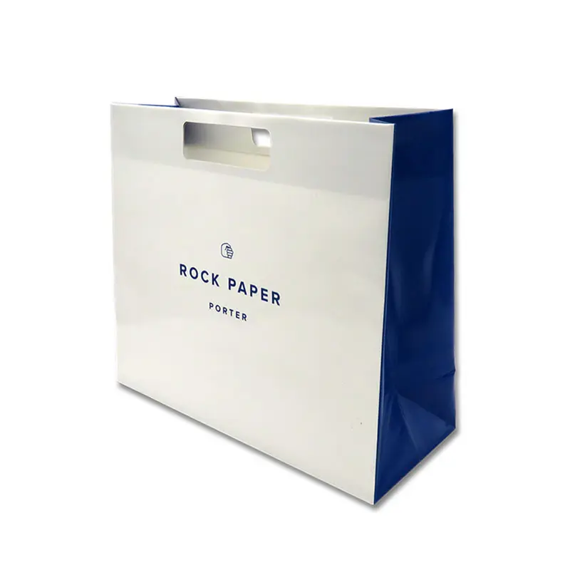 branded paper bags for gift shopping Welm 3