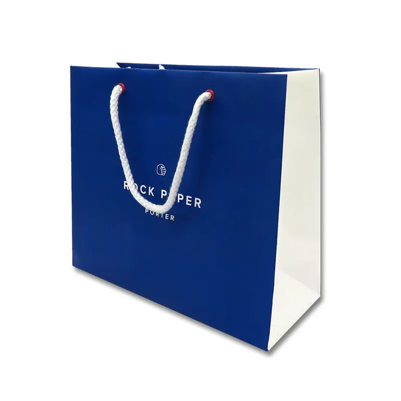 branded paper bags for gift shopping Welm 10