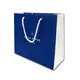 branded paper bags for gift shopping Welm 10