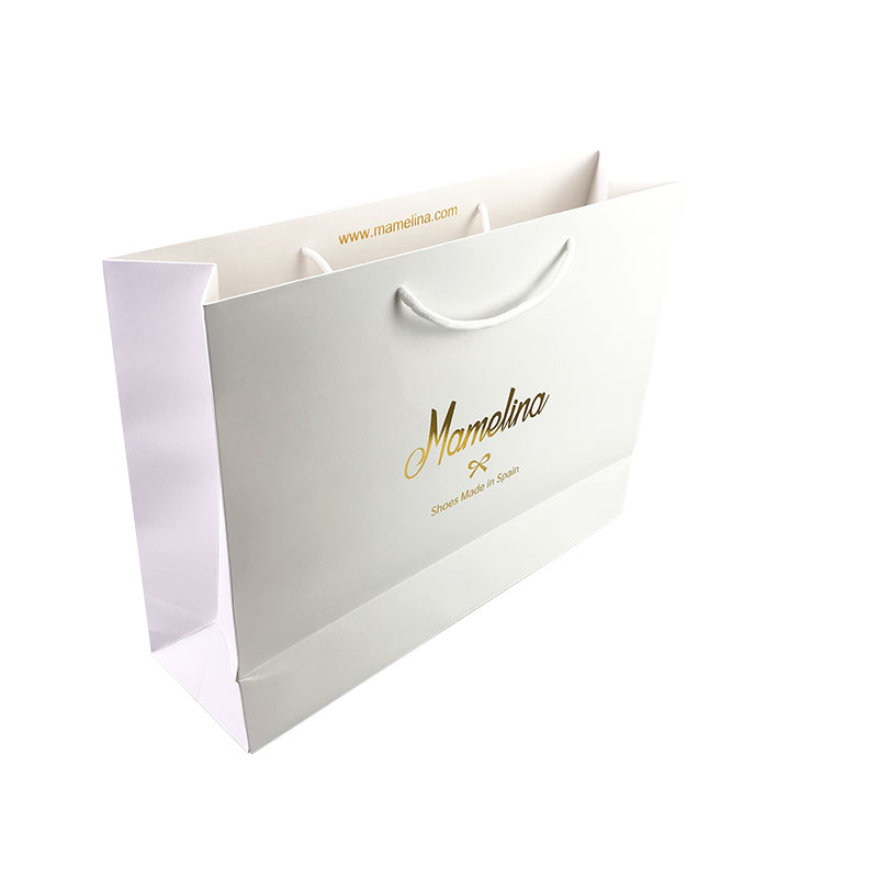 welmpackaging BolsadepapelkraftAcceptasmallamountofcustomizedlogo120gbrownkraftpaperwhitekraftpaperkraftpaperbags34 8