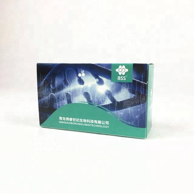 standard paper box packaging bottle online for blood glucose test strips 2