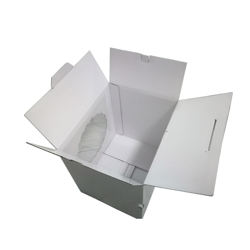Welm colorful white cardboard food tray for business for pet food 5