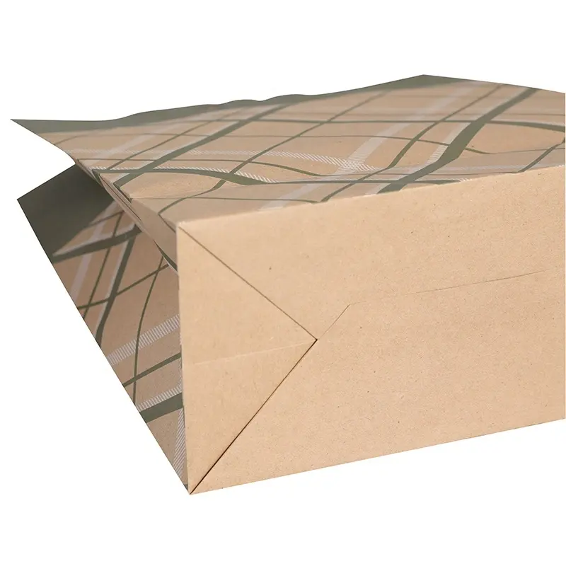 welmpackaging BolsadepapelkraftAcceptasmallamountofcustomizedlogo120gbrownkraftpaperwhitekraftpaperkraftpaperbags64 3