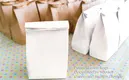 welmpackaging BolsadepapelkraftAcceptasmallamountofcustomizedlogo120gbrownkraftpaperwhitekraftpaperkraftpaperbags65 8