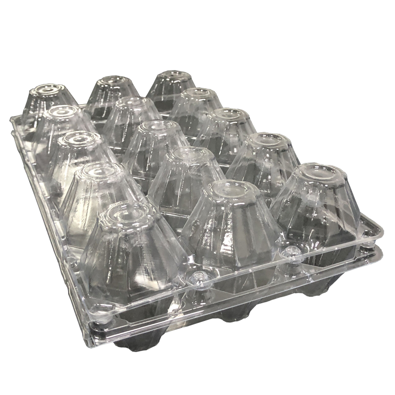 2/4/6/8/9/10/12/15/16/20 PET PVC Plastic Egg Packaging Tray And Box 3