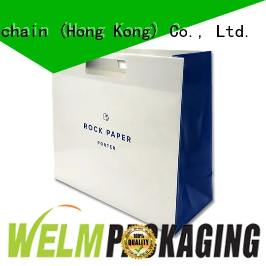 paper carry bag colorful for gift shopping Welm 1
