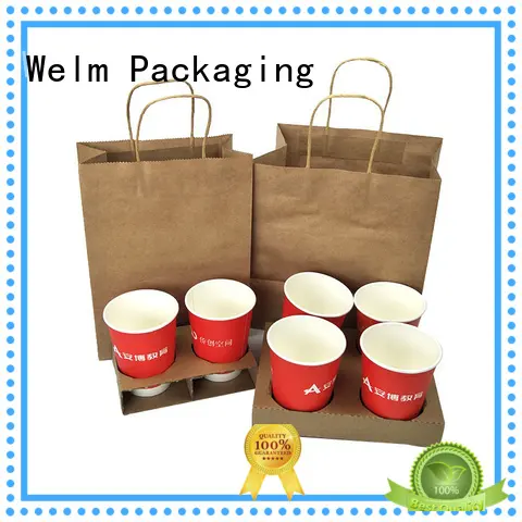 high quality custom paper bags with die cut handle for shopping Welm 1