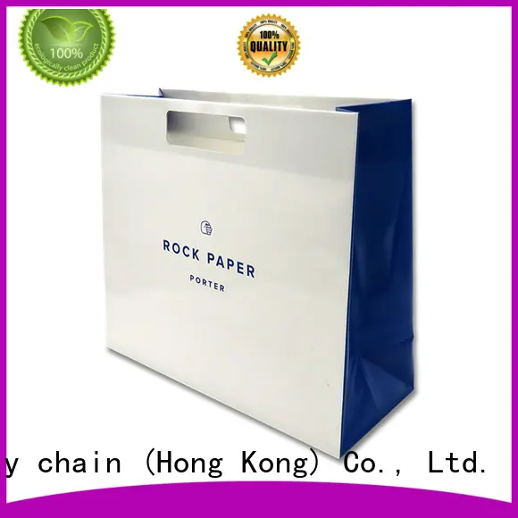 branded paper bags for gift shopping Welm 1