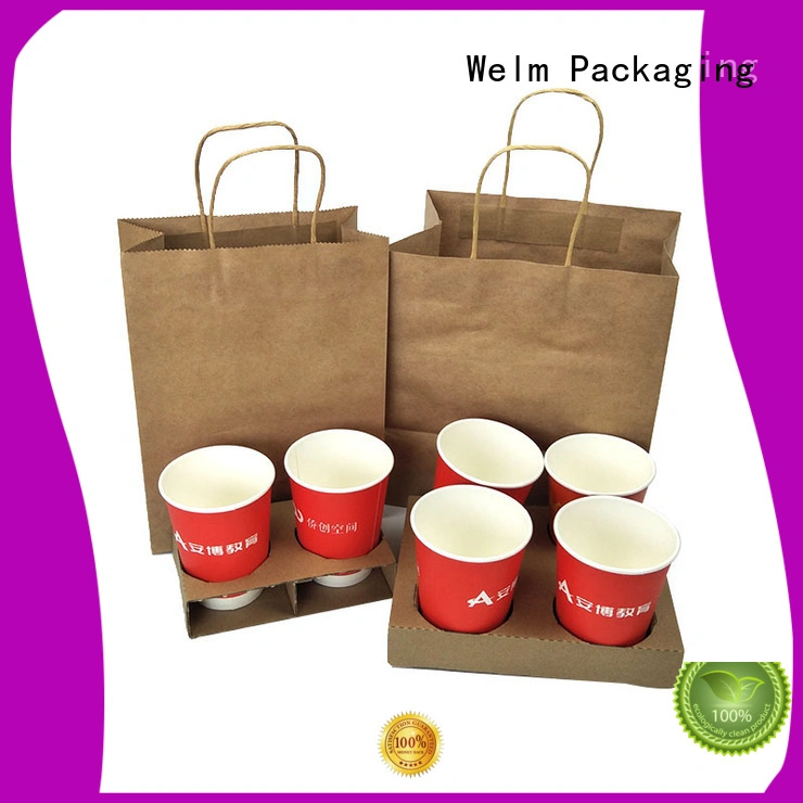 Custom Logo Printing Kraft Paper Bag for Gift Shopping 1
