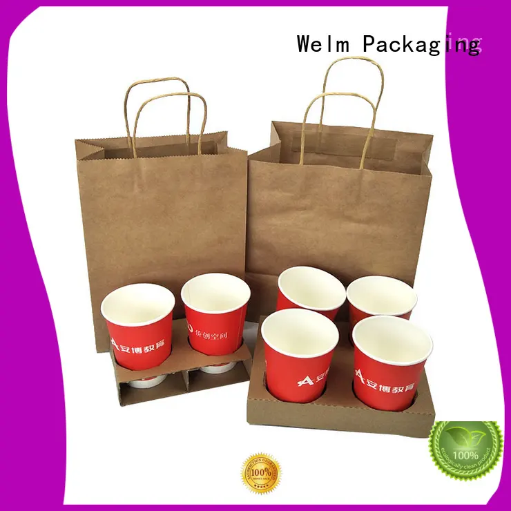 Custom Logo Printing Kraft Paper Bag for Gift Shopping 1