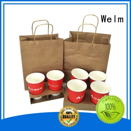 Welm pp printed paper bags with die cut handle for gift shopping 1
