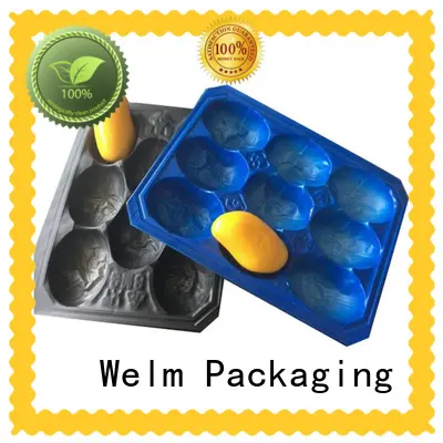 Welm blister packaging manufacturers tray liner for mouse packaging 1
