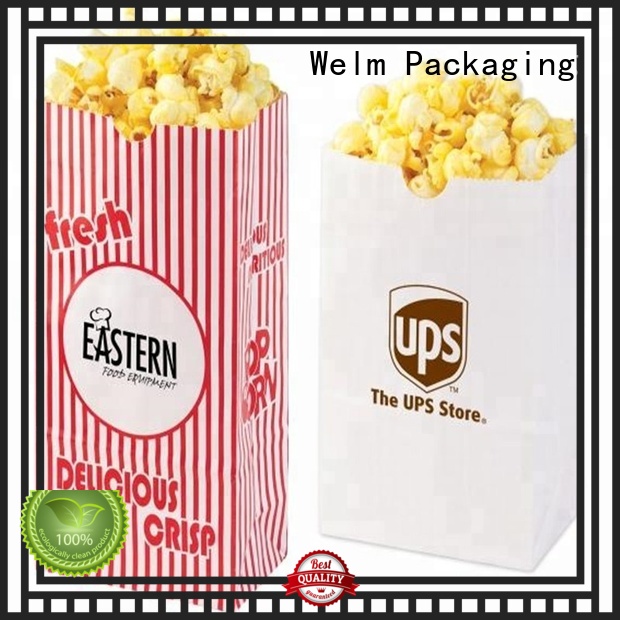 Welm brown kraft paper bags with gold logo print for shopping 1