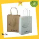 Welm kraft bags logo for shopping 1