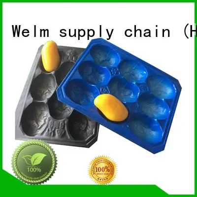 Welm disposable custom blister packaging tray liner for cosmetics and toy 1