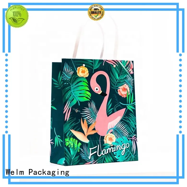ecofriendly paper bags for sale wholesale pp for shopping 1