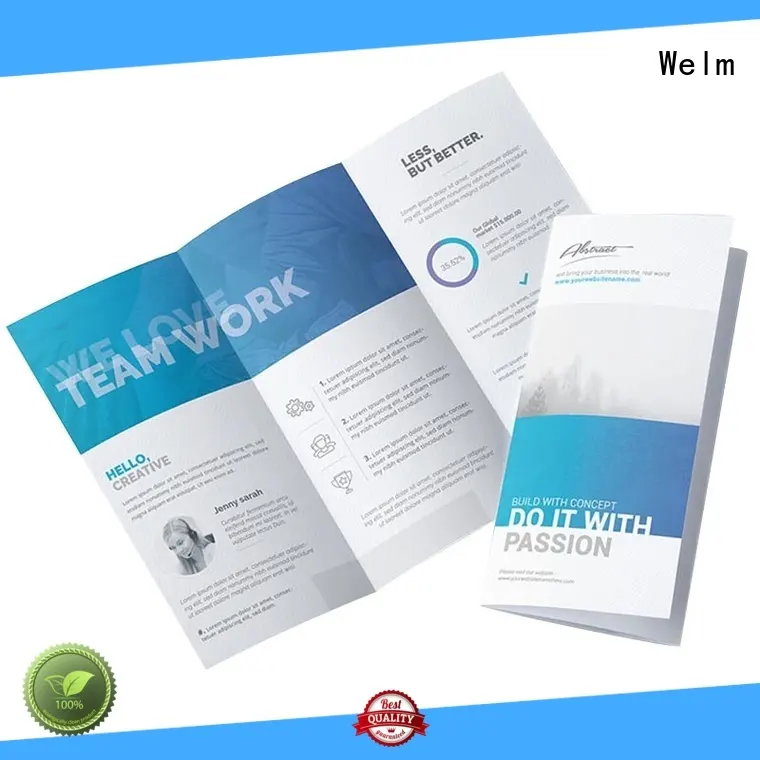Welm wholesale same day brochures instruction manual for sale 1