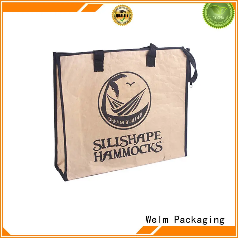 latest brown paper craft bag design for business for gift shopping 1