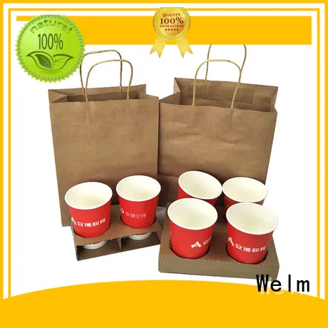 Welm waterproof where to buy large paper bags with gold logo print for shopping 1