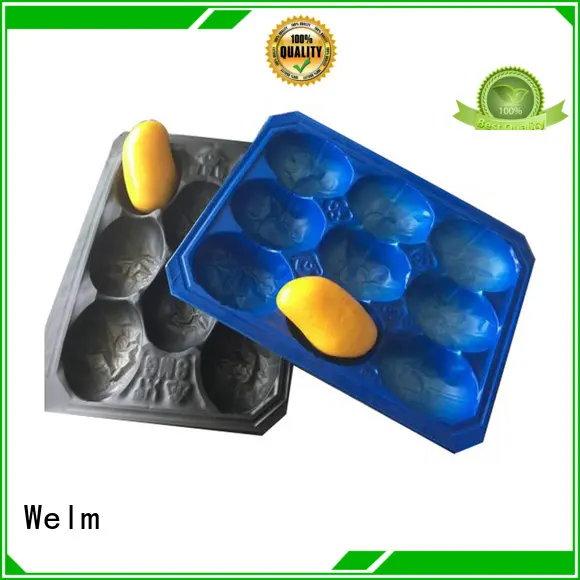 Welm ecofriendly blister packaging china for hardware tool 1
