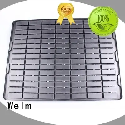Welm wheels lettuce clamshell packaging supermarket fruit display for cosmetics and toy 1