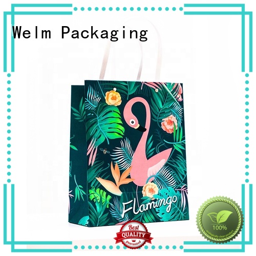 Welm ziplock 100 brown paper bags suppliers for sale 1
