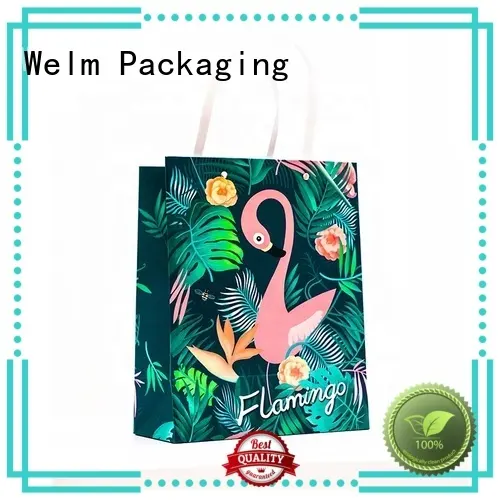 Welm ziplock 100 brown paper bags suppliers for sale 1