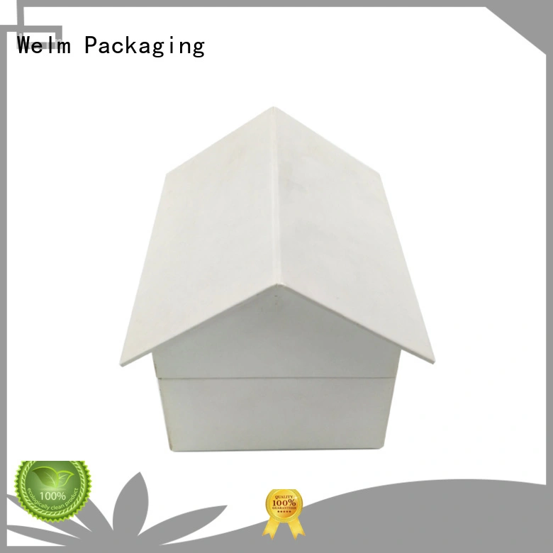 Welm packing gift boxes wholesale jewelry for necklace 1