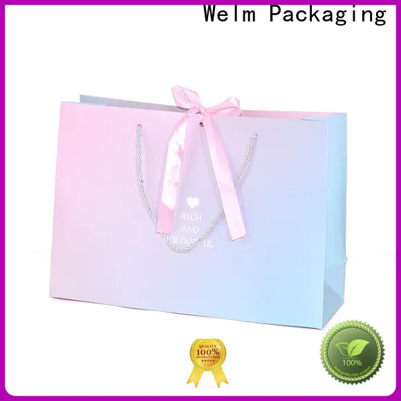 Welm food where to buy plain paper bags manufacturers for gift shopping 1