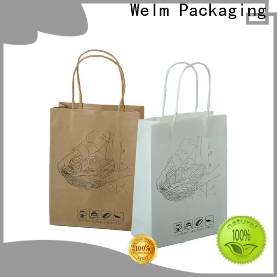 Welm greaseproof plain brown paper bags with handles with gold logo print for shopping 1