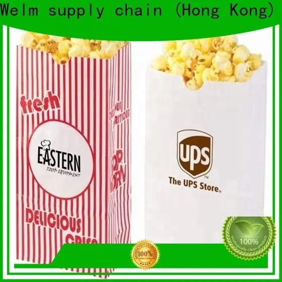 Welm craft apple store paper bag suppliers for shopping 1