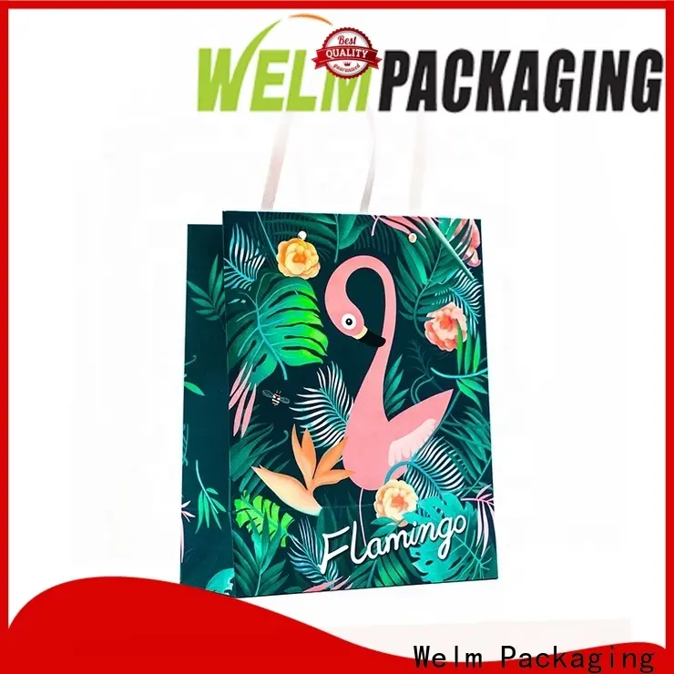 Welm food printed paper bags with handles company for gift shopping 1