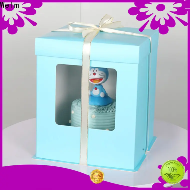 Welm new takeaway food packaging for business for gift 1
