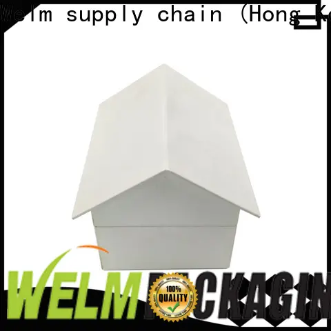 Welm paper personalised packaging boxes factory for storage 1