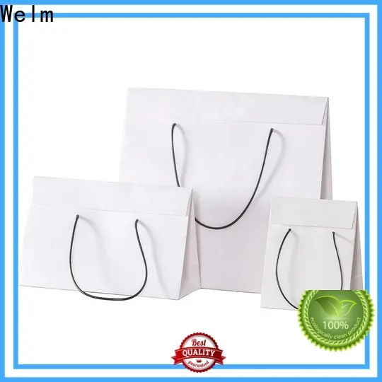 welmpackaging BolsadepapelkraftAcceptasmallamountofcustomizedlogo120gbrownkraftpaperwhitekraftpaperkraftpaperbags32 1