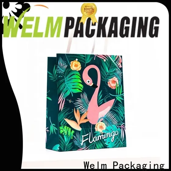 welmpackaging BolsadepapelkraftAcceptasmallamountofcustomizedlogo120gbrownkraftpaperwhitekraftpaperkraftpaperbags39 1