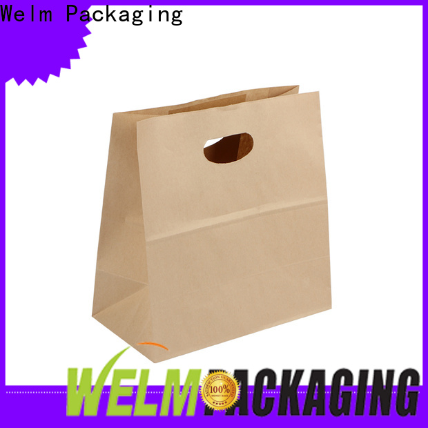 welmpackaging BolsadepapelkraftAcceptasmallamountofcustomizedlogo120gbrownkraftpaperwhitekraftpaperkraftpaperbags44 1