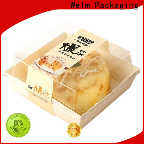 welmpackaging BolsadepapelkraftAcceptasmallamountofcustomizedlogo120gbrownkraftpaperwhitekraftpaperkraftpaperbags57 1