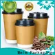 welmpackaging BolsadepapelkraftAcceptasmallamountofcustomizedlogo120gbrownkraftpaperwhitekraftpaperkraftpaperbags74 1