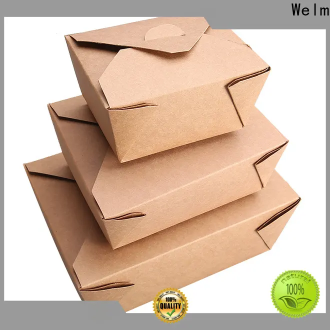 welmpackaging BolsadepapelkraftAcceptasmallamountofcustomizedlogo120gbrownkraftpaperwhitekraftpaperkraftpaperbags80 1