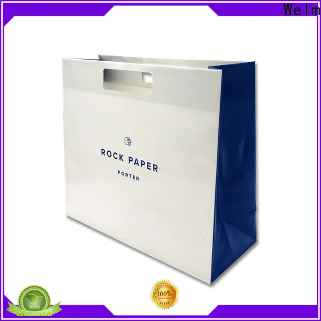 welmpackaging BolsadepapelkraftAcceptasmallamountofcustomizedlogo120gbrownkraftpaperwhitekraftpaperkraftpaperbags81 1