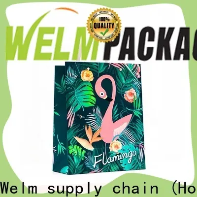 welmpackaging BolsadepapelkraftAcceptasmallamountofcustomizedlogo120gbrownkraftpaperwhitekraftpaperkraftpaperbags85 1