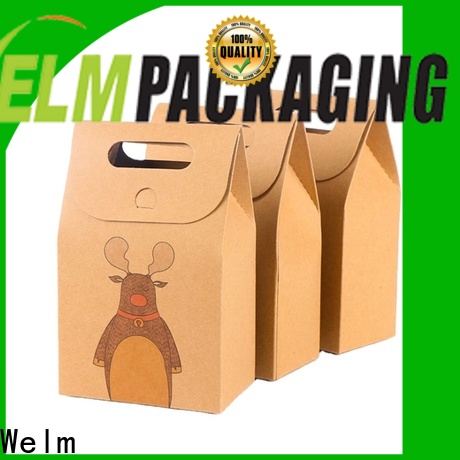 welmpackaging BolsadepapelkraftAcceptasmallamountofcustomizedlogo120gbrownkraftpaperwhitekraftpaperkraftpaperbags104 1